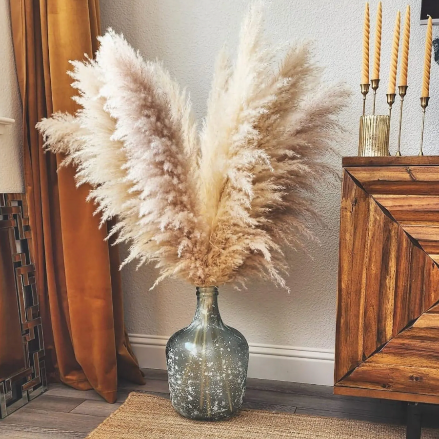 dried pampas grass decor