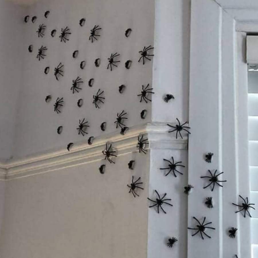 halloween bat decorations