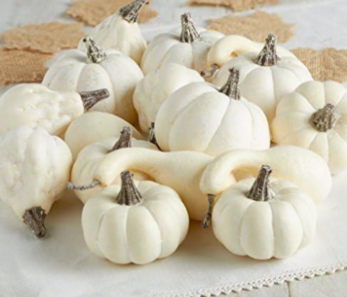 mini pumpkins